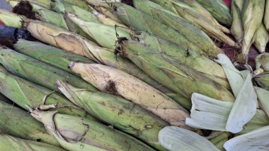 pazarda yeşil mısır yaprakları