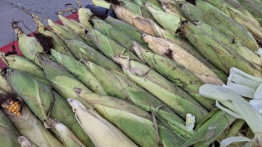 Mısır pazarı, mısır koçanı.