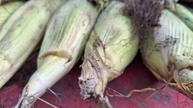 Mısır koçanı manzarasını kapat.