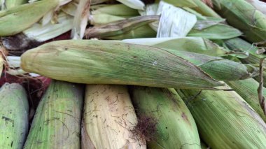 pazarda yeşil mısır