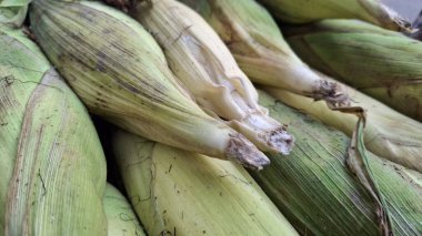 Pazarda taze yeşil mısır
