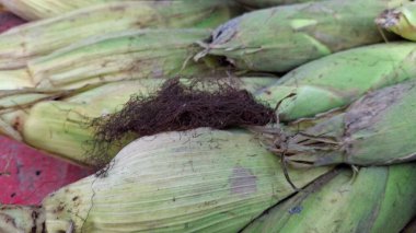 Hindistan cevizi ve şeker.