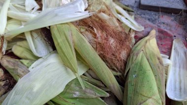 Üzerinde kurutulmuş Mısır