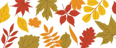 moutain Canyon vektör illüstrasyonunda gün batımı duvar kağıdı, arkaplan, pankart, arkaplan, turizm tasarımı ve tasarım şablonu için iyidir