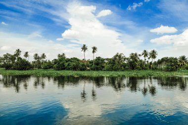 Tropikal orman ve göl.