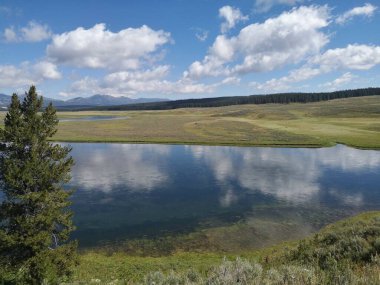 Yellowstone 'daki nehrin güzel manzarası