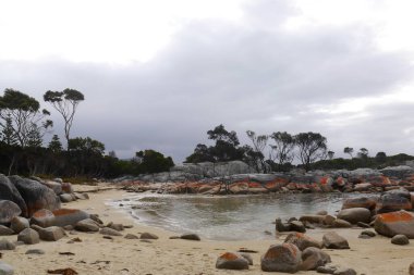 Denizin ortasındaki La Digue adasının kumsalı..