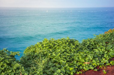 Büyük deniz dalgalarıyla yeşil bir uçurumdan sahilin manzaralı manzarası. Santolo Plajı, Batı Java, Endonezya