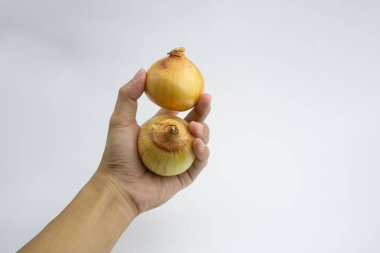 Elin soğan tutarken. beyaz arkaplanda izole.