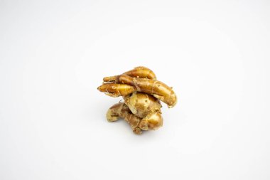 Kencur tipik bir Endonezya baharatıdır. Gruplar halinde. Tipik Endonezyalı. beyaz arkaplanda izole.