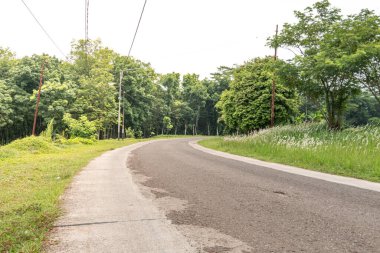 Boş cadde, mavi gökyüzü olan yeşil şehir parkı. Yol ve güzel ağaçlar koşmak, yürümek ve bisiklete binmek için yol kenardaki yeşil çimlerin üzerinde dinleniyor.