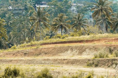 Bulutlu bir gökyüzünün altında uzun, kuru otlardan oluşan bir tarlanın manzara fotoğrafı. Bir bahar akşamında kuru sazların üzerinde büyür. Bulutlu hava, manzara