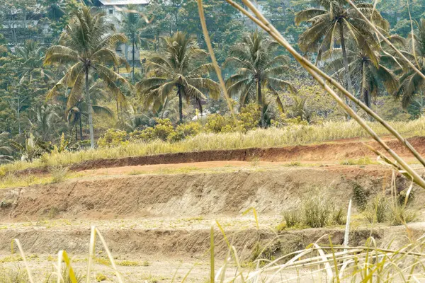 Bulutlu bir gökyüzünün altında uzun, kuru otlardan oluşan bir tarlanın manzara fotoğrafı. Bir bahar akşamında kuru sazların üzerinde büyür. Bulutlu hava, manzara