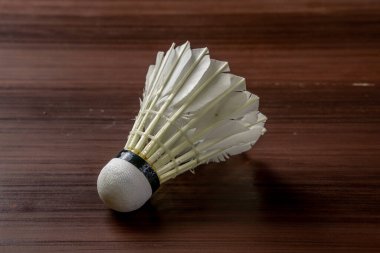 Tahta bir masaya yerleştirilmiş, hassas tüylerini ve karmaşık tasarımını sergileyen izole edilmiş bir mekik horozu. Sahnenin basitliği, mekik siki detaylarını vurgular.