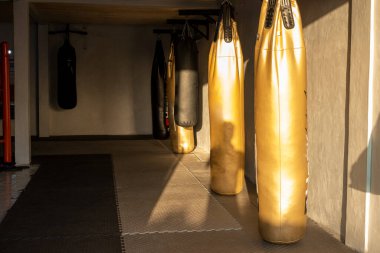 Altın ve Siyah Yumruk Torbaları Spor Salonunda Sallanıyor