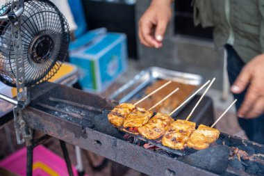 Kızarmış Tofu Şişleri Kömürde Pişiyor