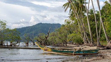 Bulutlu bir gökyüzünün altında, tropik bir sahilde yıpranmış ahşap bir tekne.