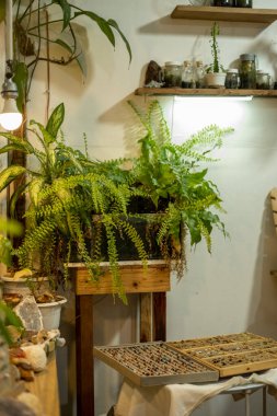 Kuyumcu, fabrikalarla dolu bir atölyede el yapımı mücevher yapmak için değerli taşlar organize ediyor.