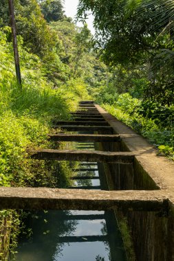 Hollanda yapımı nehir sulama kanalını çevreleyen yemyeşil bitki örtüsü, betondan yapılmış ve dağlardan taze su getiriyor.