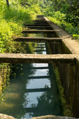 Portre fotoğrafı, yemyeşil bitki örtüsü, betondan yapılmış Hollanda yapımı bir nehir sulama kanalı ve dağlardan taze su taşır.