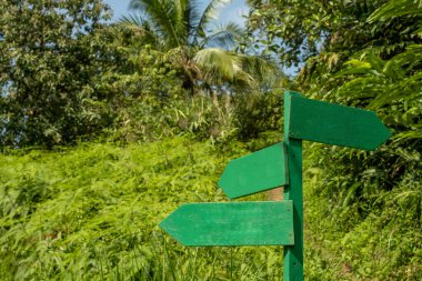 Three blank green directional arrows in green,pointing in different directions on a tropical forest background.concept of creative business ideas and life goals clipart