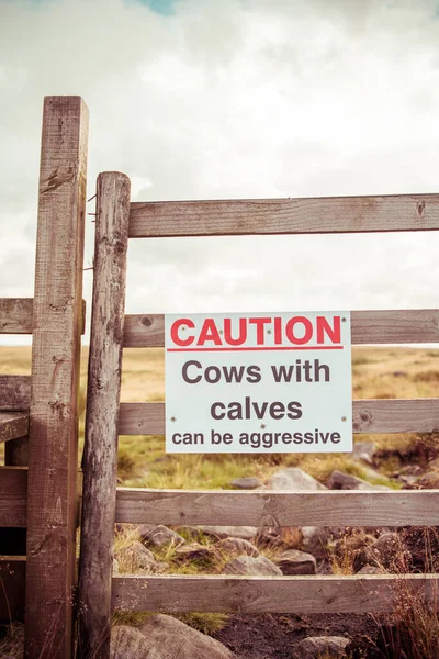 Znak Bramie Brzmi Uwaga Krowy Cielętami Mogą Być Agresywne — Zdjęcie stockowe