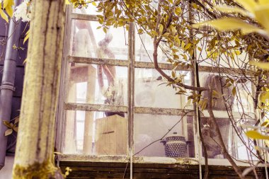 Pencereden sanatsal bir yaşam alanına bak