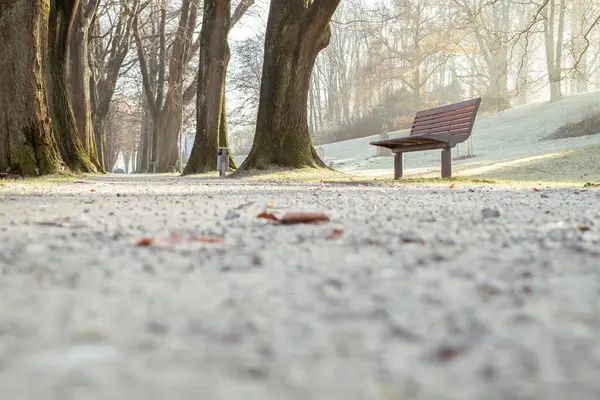 Çakıl yolunun geçtiği bir caddenin kenarındaki park bankında..