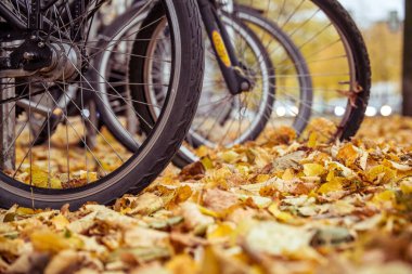 Yoğun bir anayolun hemen yanındaki bisiklet raflarına birkaç bisiklet park edilmiş. Sonbahar geldi ve sarı yapraklar yüzünden toprağı bile göremiyorsun..