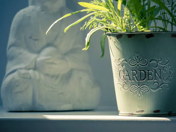 stock image Green houseplant in a pot with the inscription 