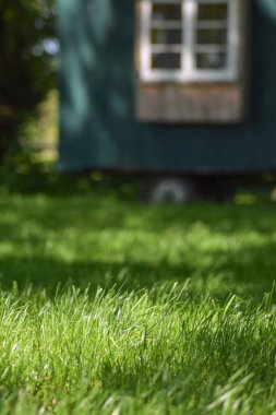 Gölgeli bir çayırda yeşil bir inşaat karavanı duruyor.