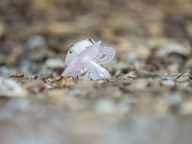 Kayıp bir emzik toprakta yatıyor.