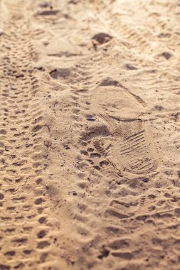 Bir orman yolunun kumundaki izler.