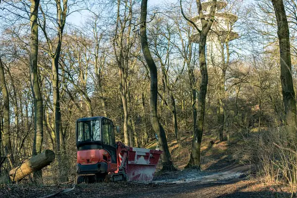 stock image Excavator and dumpster stand directly in the middle of the forest on a forest road