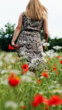 Kırmızı gelincikler ve beyaz çiçeklerle dolu bir tarlada yürüyen desenli elbiseli bir kadın. Arka planda yeşil ağaçlar..