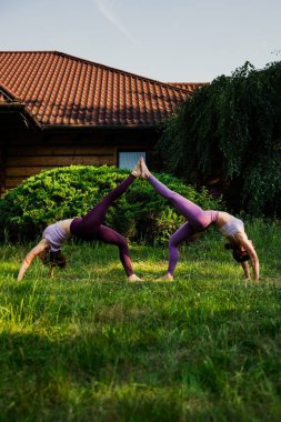 Canlı ve yemyeşil bir ortamda, iki kadın birlikte zarif bir şekilde senkronize yoga pozları veriyorlar. Dikey.