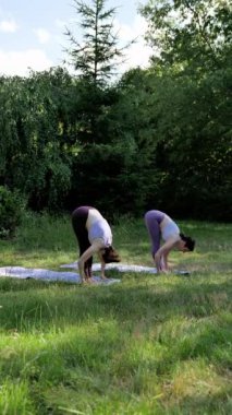 İki kadın, doğanın güzel ve sakin ortamında mor kıyafetlerle yoga yapmaya hevesli. Dikey.