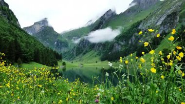 Görkemli dağların çarpıcı manzarası, huzurlu bir göl, ve dingin kır çiçekleri, rahatlama ve keşif için mükemmel.