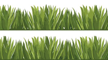 grass realistic lawn horizontal seamless pattern clipart