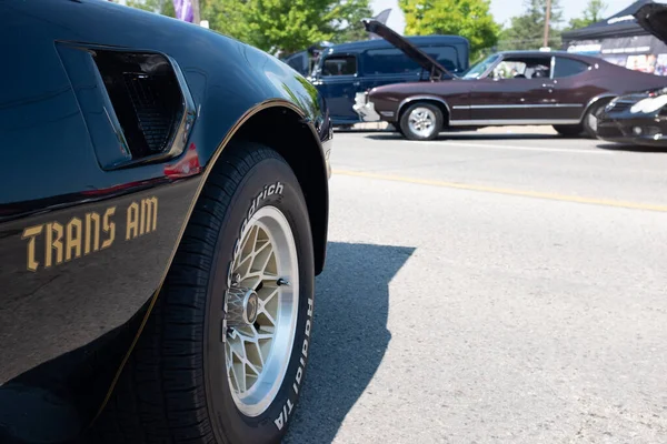 Toronto Ontario Kanadafolk Tittar Gamla Klassiska Bilar Hjul Danforth Bilutställning — Stockfoto