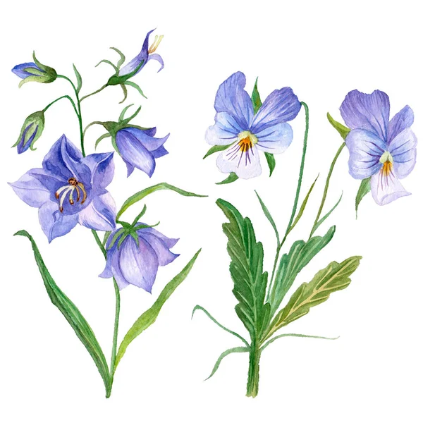 Conjunto Margaridas Aquarela Flores Sino Azul Ilustração Desenhada Mão Com — Fotografia de Stock