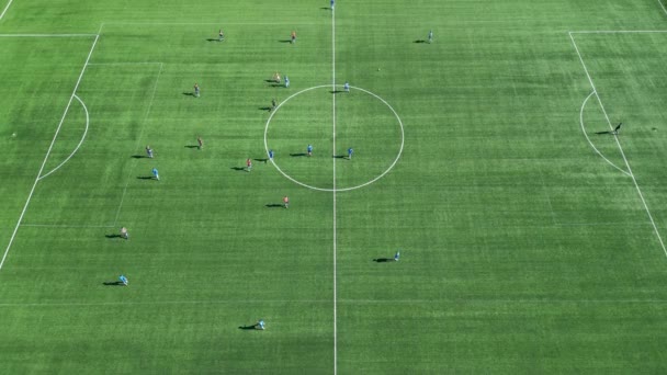 Vista Aérea Filmada Con Dron Los Niños Juegan Fútbol Campo — Vídeo de stock