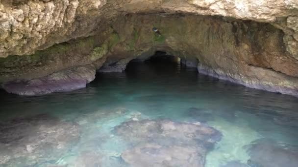 Une Belle Petite Grotte Sur Côte Rocheuse Monténégro Filmé Avec — Video