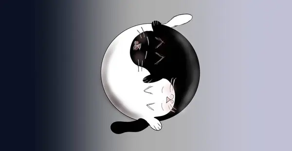 Yin ve Yang tarzında bir kedi. bir sembolün başka bir şekilde yürütülmesi