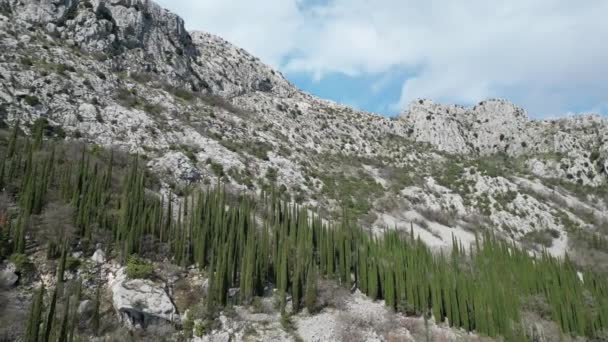 Hırvatistan Dağlarındaki Resim Gibi Bir Yer Hırvatistan Birçok Yeşil Eşkıya — Stok video