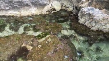 İnsansız hava aracı kayalık sahile yaklaşıyor. Karadağ 2024.