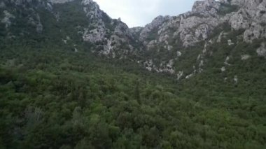 Karadağ 'ın dağlarındaki sık bir ormanın üzerinde uçan insansız hava aracı.