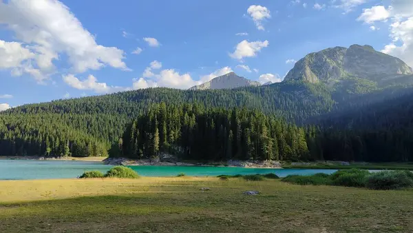 Bereketli, sık bir ormanın ortasında muhteşem dağların arka planda dramatik bir şekilde yükseldiği güzel bir göl var.