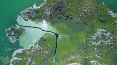 Parıldayan, kristal berrak suyla çevrili canlı yeşil bir adayı gösteren çarpıcı bir hava görüntüsü.