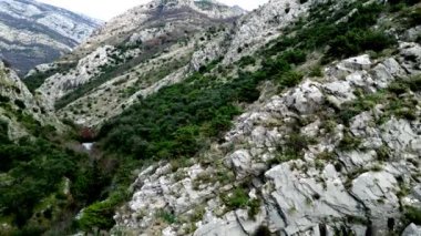 Nefes kesici bir hava görüntüsü güzel bir şekilde sergileniyor dingin bir nehir zarif bir şekilde yeşil alandan akıyor.